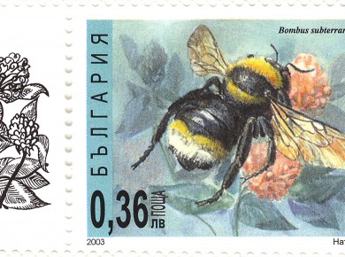 stamps_pcheli_bombus