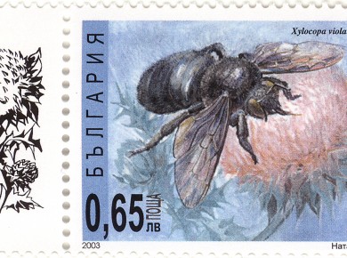 stamps_pchelixylocopa